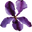 Author Iris Morland Shop logo